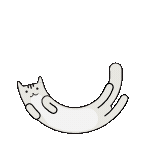 cat animation